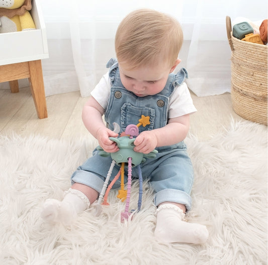 Zippy Activity Toy - Dusty