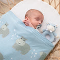 Load image into Gallery viewer, Whimsical Baby Blanket - Hippo/Blue