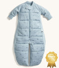 Load image into Gallery viewer, ErgoPouch Sleep - Suit Bag - Tog 2.5 - Dragonfly