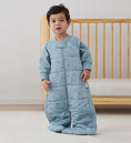 Load image into Gallery viewer, ErgoPouch Sleep - Suit Bag - Tog 2.5 - Dragonfly
