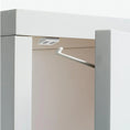 Load image into Gallery viewer, BabyDan Drawer & Cupboard Lock