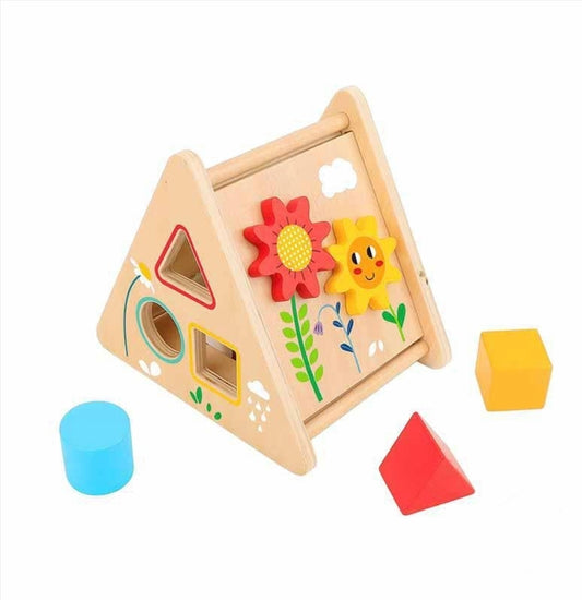 Activity Triangle