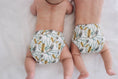 Load image into Gallery viewer, Modern Cloth Nappy - Banksia