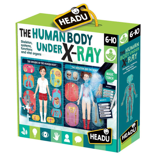 Headu - The Human Body Under X-Ray