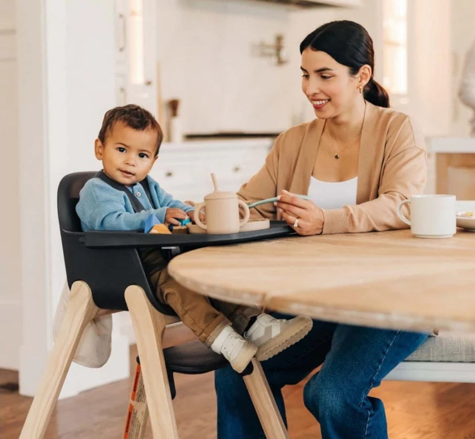 UPPAbaby - Ciro High Chair - Charcoal - Jake