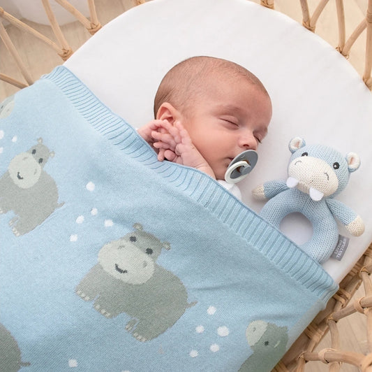 Whimsical Baby Blanket - Hippo/Blue