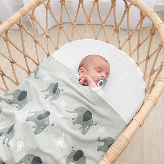 Whimsical Baby Blanket- Elephant