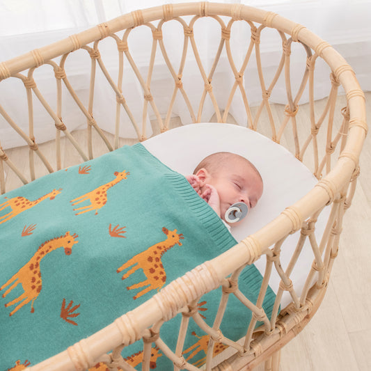 Whimsical Baby Blanket- Giraffe