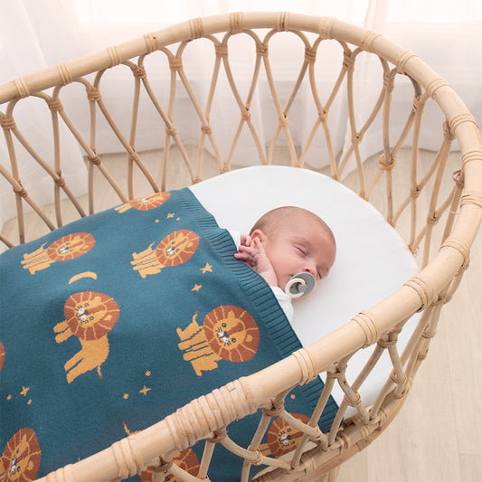 Whimsical Baby Blanket - LionNavy