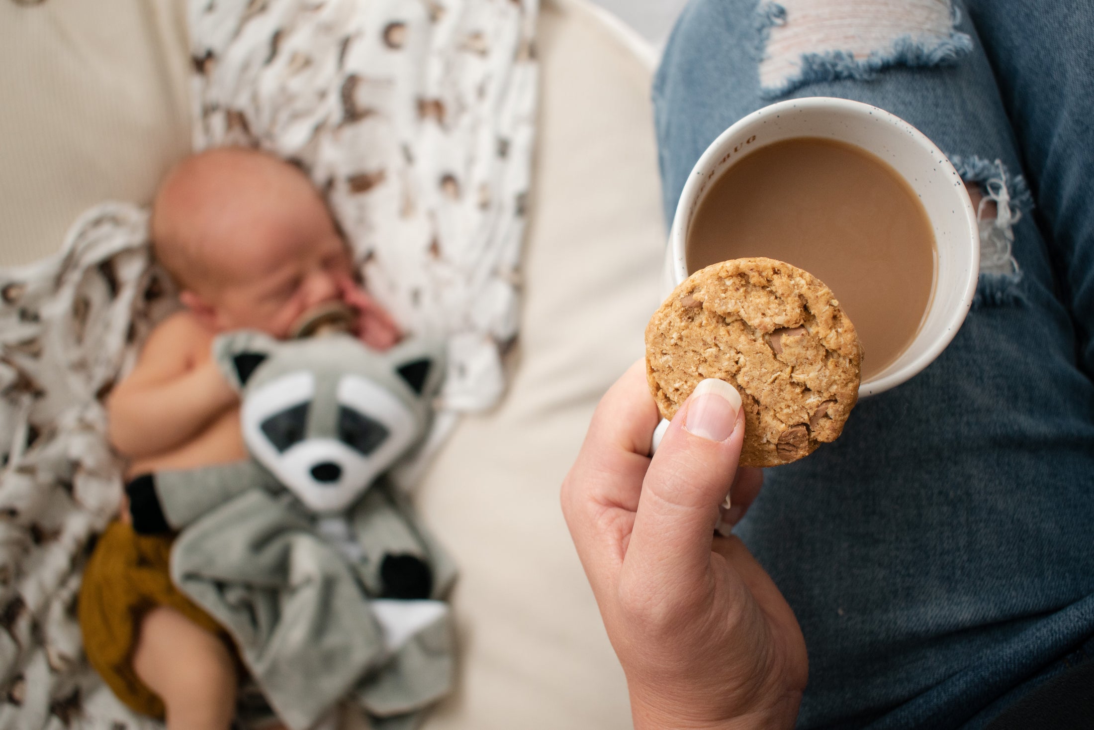 Milky Goodness - Lactation cookies - chocolate Chip