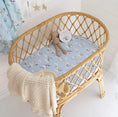 Load image into Gallery viewer, Snuggle Hunny Kids - Bassinet Sheet/Change Pad Cover - Taking Flight
