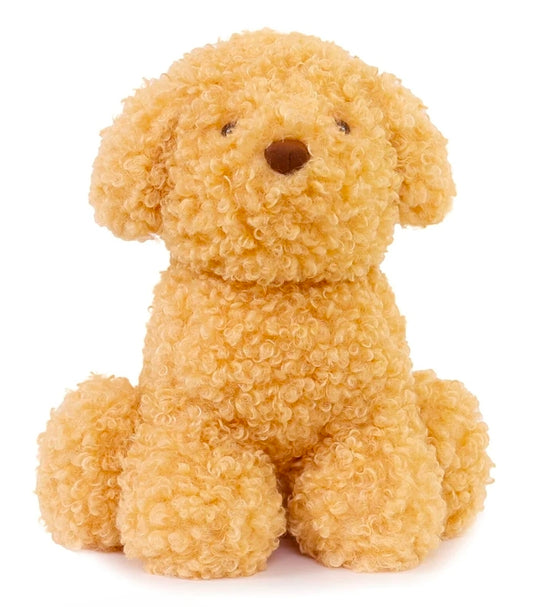OB Designs - Luca Labradoodle