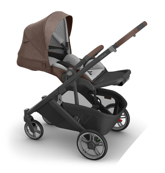Uppababy - Cruz V3 - (Owen)