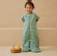 Load image into Gallery viewer, ErgoPouch - Sleep Suit Bag - Tog 1.0 - Sweet Orchard
