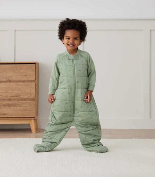 ErgoPouch Sleep Suit Bag Long Sleeve - 2.5Tog - Willow