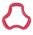Load image into Gallery viewer, Dr Browns Teether A-Shaped ‘Fleexes’ - Pink
