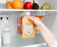 Load image into Gallery viewer, Cherub Baby - Pouch & Breast Milk Bag Organiser
