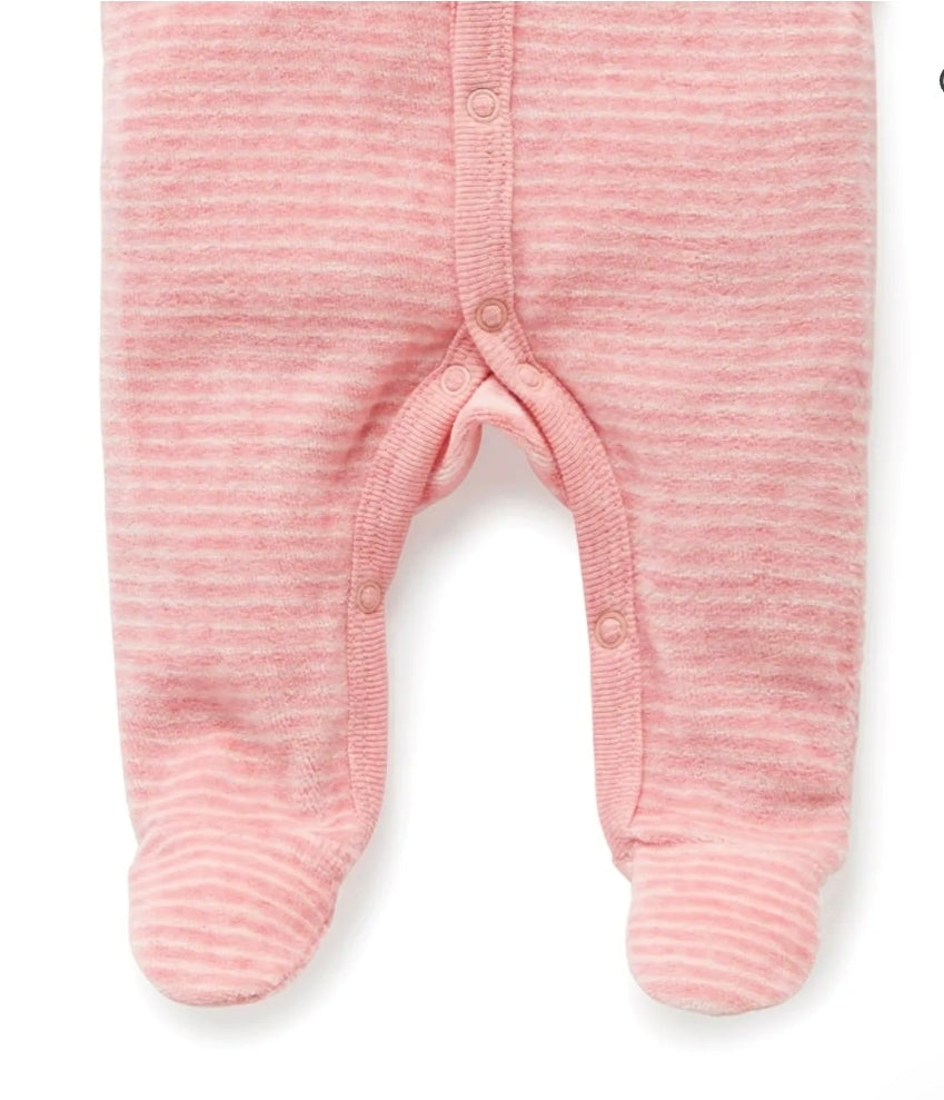 Purebaby - Premie Velour Growsuit & Hat - Pink Stripe