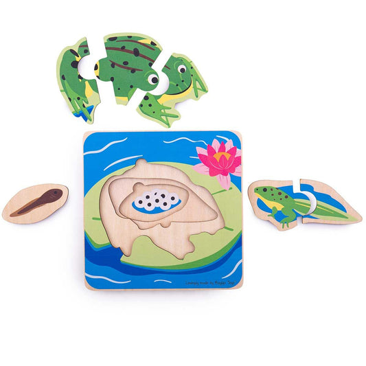 Life Cycle Layer Puzzle - Frog