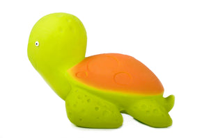 Caaocho - Turtle - Bath toy